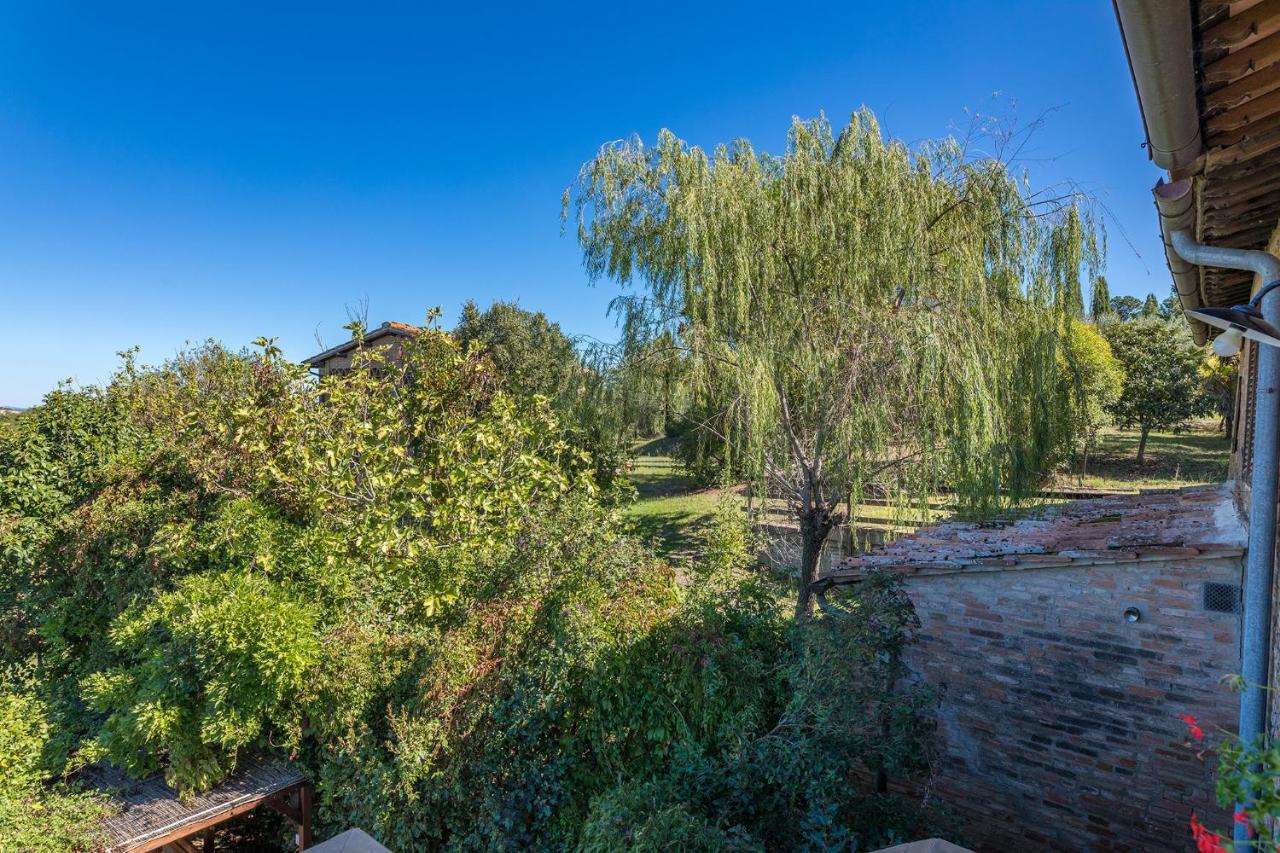 Podere Albereto Buonconvento Exteriör bild